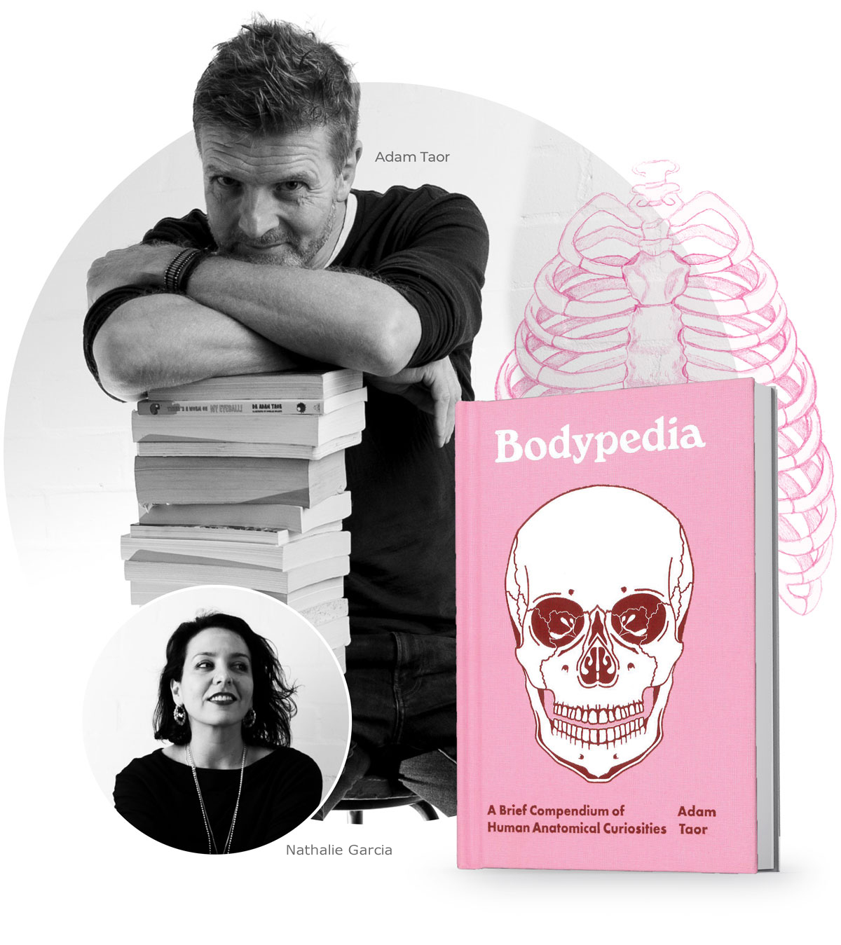 Bodypedia Bodypedia